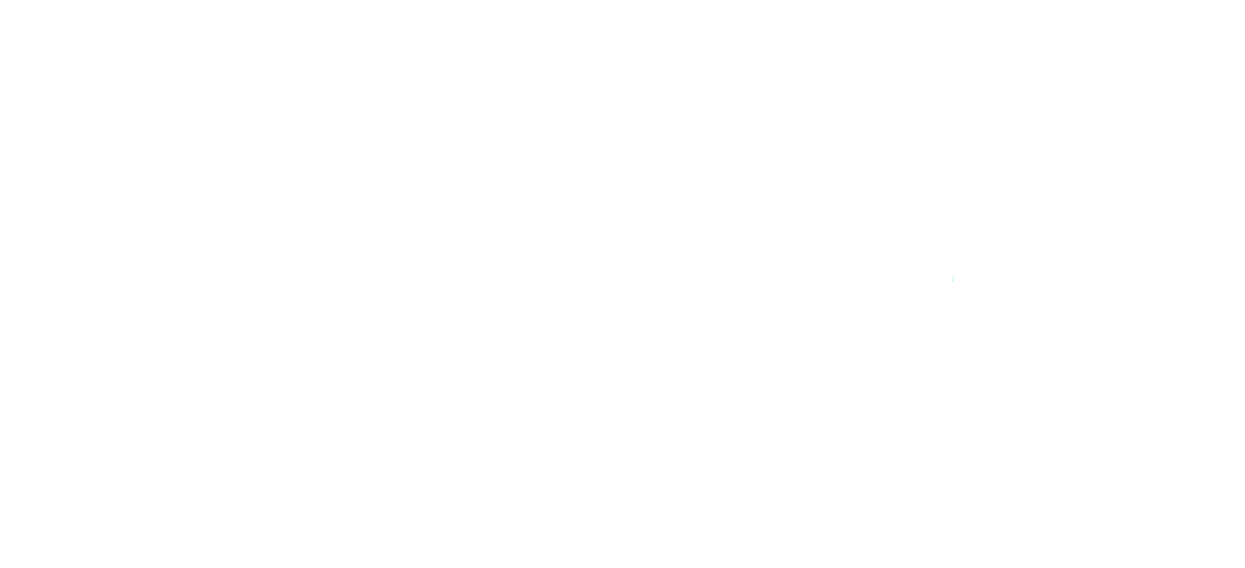 fly4sport